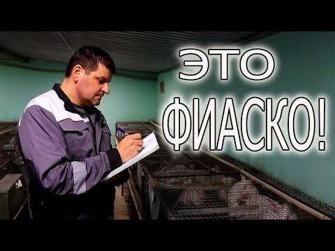 Видео: ПРОВЕЛ РЕВИЗИЮ! Я В ШОКЕ, КУДА Я СМОТРЕЛ!