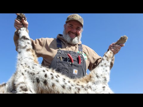 Видео: 20 ЛУЧШИХ ВИДЕО! СЕЗОН 5 (1 ИЗ 2) | 7 СЕЗОН, ЭПИЗОД 3