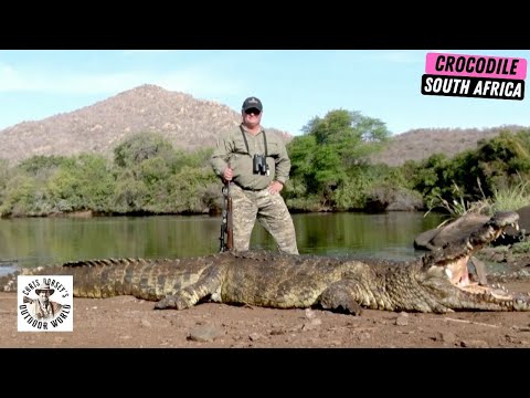 Видео: Охота на смертоносного крокодила в Южной Африке