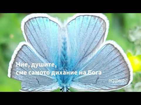 Видео: Душите -  дихание на Бог