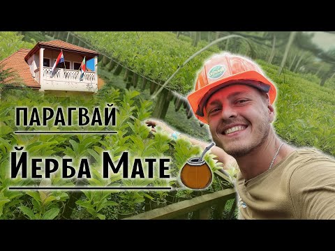 Видео: Йерба Мате бар. Фабрики. Музей. Плантации. Парагвай на велосипеде Часть 2.