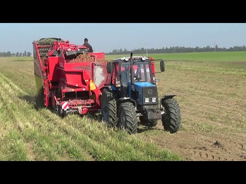 Видео: Загоночка 2021!Просто послушайте!