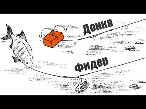 Видео: Почему рыбаки считают Фидер уловистей чем Донку?