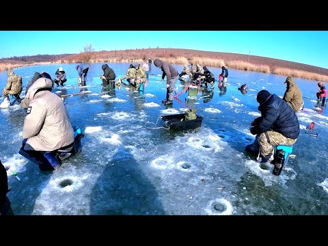 Видео: Знайшли Гарну Рибу. Зимова Риболовля Морозного Дня