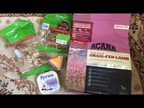 Видео: Распаковка посылки с интернет-зоомагазина Мир Корма