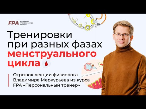 Видео: Тренировки в зависимости от фазы менструального цикла | Владимир Меркурьев (FPA)