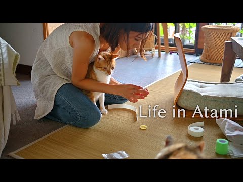 Видео: #122 Кошачьи маленькие испытания | Летние звуки в тишине
