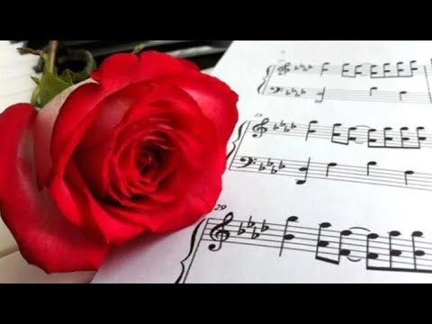 Видео: Евгений Кунгуров - Dicitencello Vuie ~ Just Say I Love Her #евгенийкунгуров