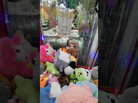 Видео: Ещё один котик) 