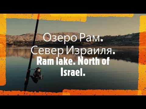 Видео: Рыбалка на севере Израиля. Озеро Рам. Fishing in northern Israel. Ram lake.