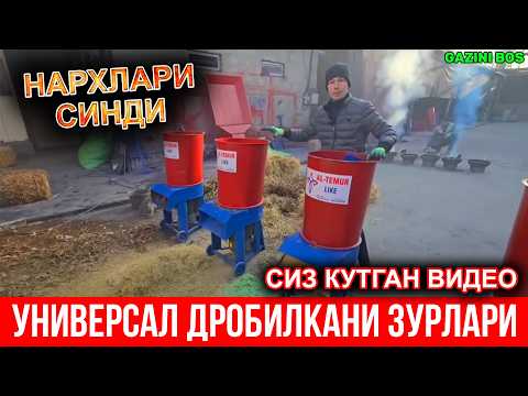 Видео: УНИВЕРСАЛ ДРОБИЛКАНИ ЗУРЛАРИ КЕЛДИ — НАРХЛАР СИНДИ! БУНАКАСИ БЎЛМАГАН!