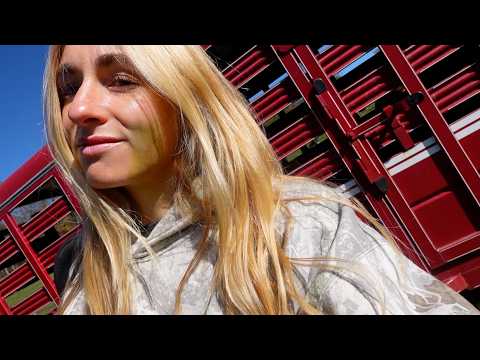 Видео: Мы идём на поправку! Осенний видеоблог