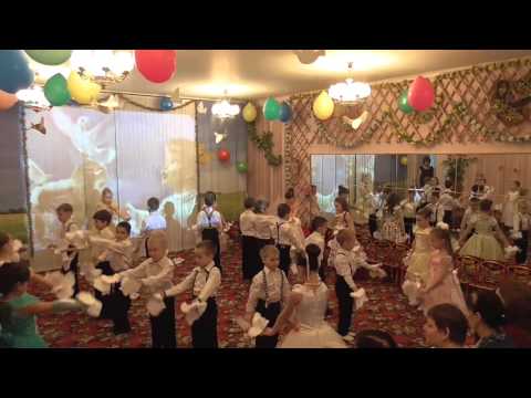 Видео: птицы мои, птицы