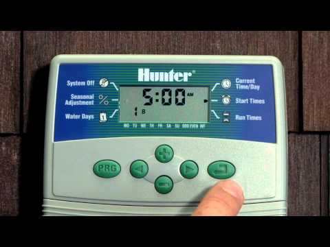 Видео: Эко-логическое программирование