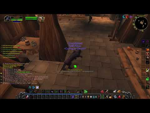 Видео: Hardcore druid leveling 29 дисконнект в бою