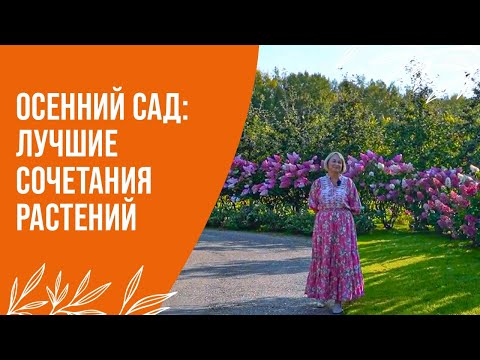 Видео: Осенний сад: лучшие сочетания растений | "Питомник Савватеевых"