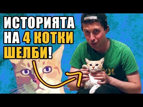 Видео: Историята на 4KOTKI - Шелби!