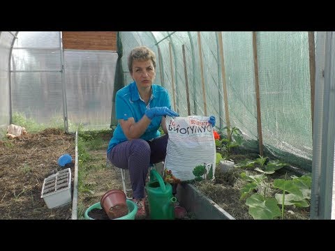 Видео: ПРОВЕРЬТЕ СЕБЯ, БИОГУМУС, ПРАВИЛЬНО ЛИ ВЫ ЕГО ПРИМЕНЯЕТЕ?