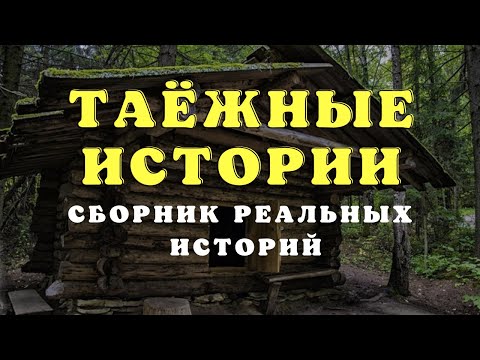 Видео: Необъяснимое в тайге/ Истории таёжных охотников/Охотничьи байки/Страшные истории