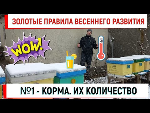 Видео: Три золотых правила весеннего развития. №1 - Корма и все о них