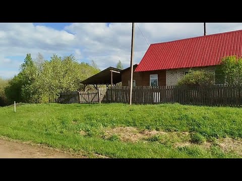 Видео: Шахарга 18 км Уй 50 сотих 60²м. Москва - Рига трасса Кунья р-н дер. Докуки Псков обл