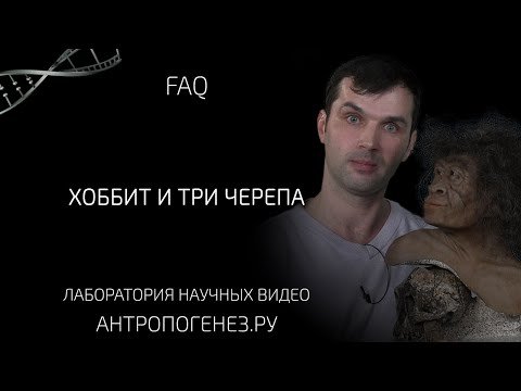 Видео: Хоббит и три черепа. Мифы об эволюции человека