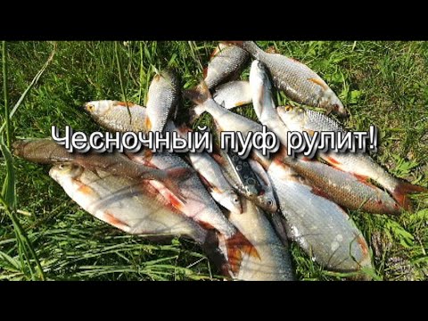 Видео: Чесночный пуф рулит.