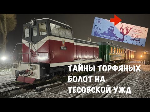 Видео: ТАЙНЫ ТОРФЯНЫХ БОЛОТ! Экскурсия по Тесовской УЖД