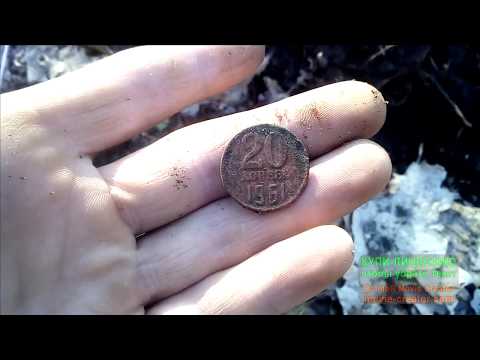 Видео: вот это коп я понимаю монета на монете MINELAB Go-Find 11