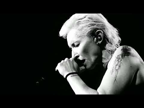 Видео: Ночные Снайперы - Сенбернары. 06.04.2025 Клуб Temple of deer. Санкт-Петербург.