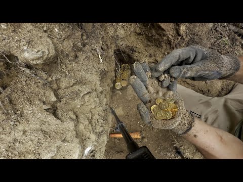 Видео: Сокровище найдено в таинственном лесу, продолжение следует...
