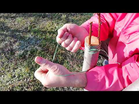 Видео: № 318   Ашладисване "Под Кора" и на "Кози крак", калем кайсия на подложка слива - 28.02.2021 г.