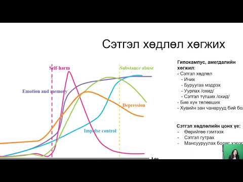 Видео: Өсвөр насны үйлчлүүлэгчийн сэтгэц, нийгмийн өвөрмөц хэрэгцээ