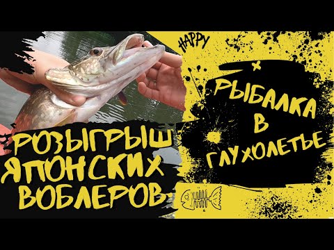 Видео: Розыгрыш японских воблеров I Рыбалка в глухолетье