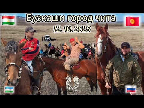 Видео: Бузкаши 12 10 25
