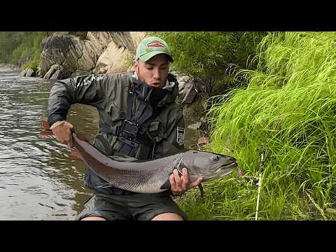 Видео: Неожиданная Борьба с ТАЙМЕНЕМ на УЛЬТРАЛАЙТ. Снасть НА ПРЕДЕЛЕ и БУРЯ ЭМОЦИЙ!