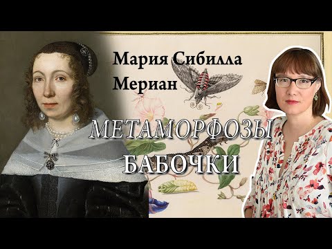 Видео: Мария Сибилла Мериан, ее невероятная жизнь, искусство и исследования