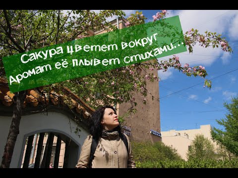 Видео: Цветы сакуры|Полимерная глина| Мастер-класс