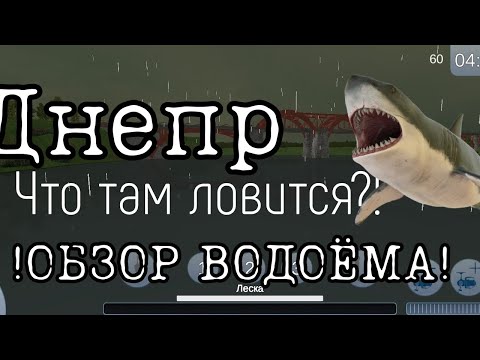 Видео: Реальная Рыбалка 2 - Днепр - Что там ловится?!