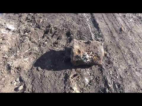 Видео: ЭТО ПРОСТО ШОК ЧТО Я ЗДЕСЬ НАШЕЛ!!  КАРАНТИННЫЙ КАБАН!!  В ОМСКЕ ЗАКРЫЛИСЬ ВСЕ ПРИЕМКИ..