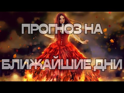 Видео: 🔔ПРОГНОЗ НА БЛИЖАЙШИЕ ДНИ🫂🔥💣💥😤