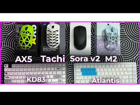 Видео: 🔥 ТОП ДЕВАЙСЫ 2024 ГОДА! Ninjutso Sora v2 + Lamzu Tachi + KD83 g3ms Magnetite