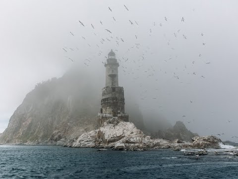 Видео: Нарциссизм - диагноз, мода или инструмент конфликта?