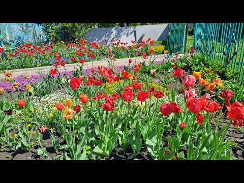 Видео: ВЕСНА В ДЕРЕВНЕ У МАМЫ! ОБЗОР ЕЁ УЧАСТКА!