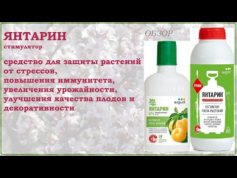 Видео: Янтарин - средство для защиты растений от стрессов, повышения их иммунитета и урожайности. Обзор