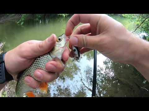 Видео: ЛУЧШИЙ воблер с aliexpress. лучший воблер на голавля. РЫБАЛКА НА СКАЗОЧНОЙ РЕКЕ