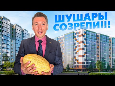 Видео: Шушары – аномальная зона Санкт–Петербурга. Почему там так всё дёшево?!