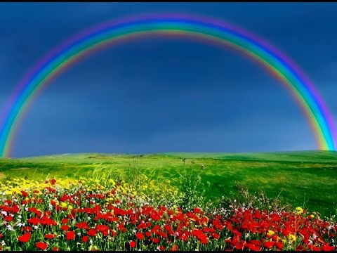 Видео: В НЕБЕ РАДУГИ СВЕТ