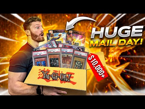 Видео: Обновление коллекции Yugioh и Pokemon Mail Day стоимостью более 10 000 долларов, которое вы не мо...