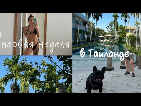 Видео: Влог/ Первая неделя в Таиланде/ Еда и цены